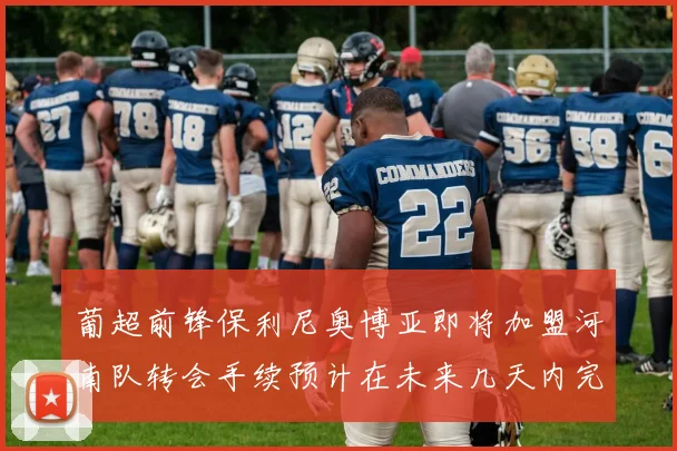 葡超前锋保利尼奥博亚即将加盟河南队转会手续预计在未来几天内完成